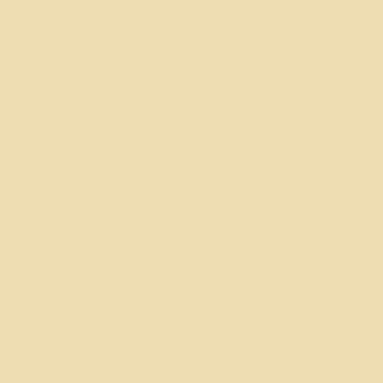 Cotton Solid Color Fabric