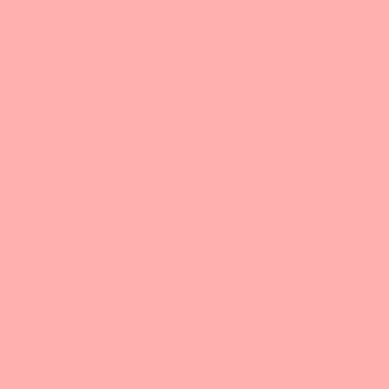 Cotton Solid Color Fabric