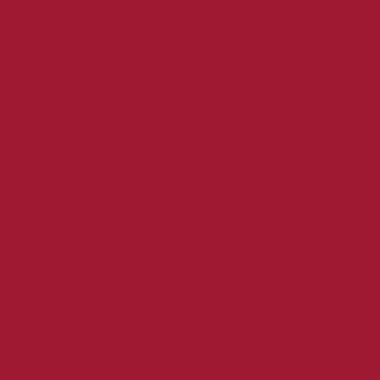 Cotton Solid Color Fabric