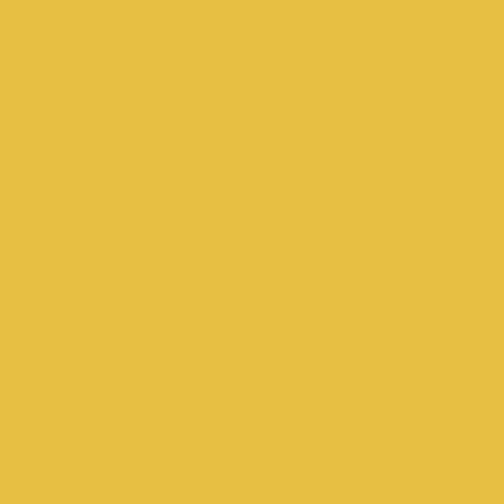 Cotton Solid Color Fabric