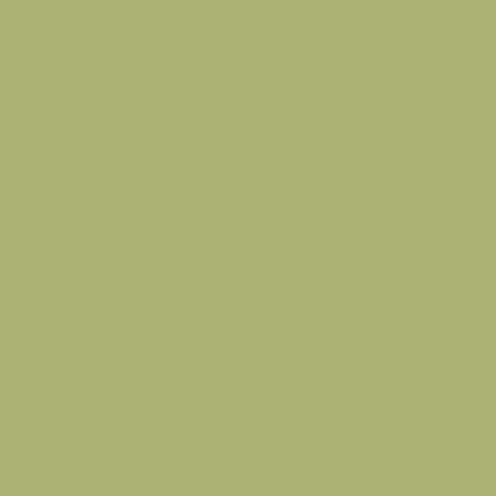 Cotton Solid Color Fabric