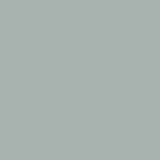 Cotton Solid Color Fabric