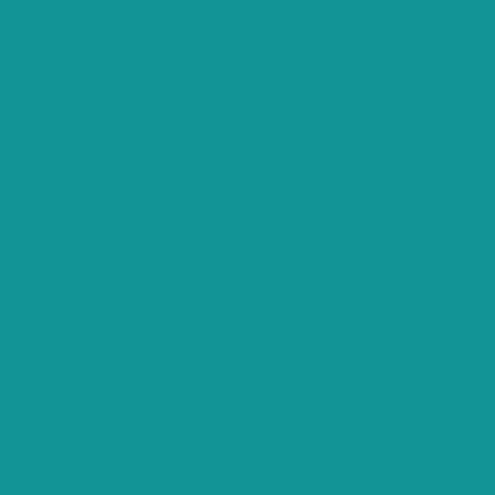 Cotton Solid Color Fabric