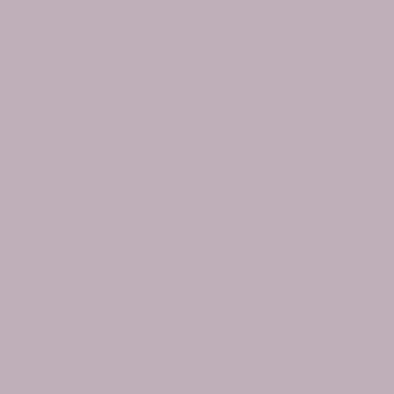 Cotton Solid Color Fabric