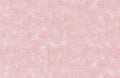 Sundrenched Peach Floral