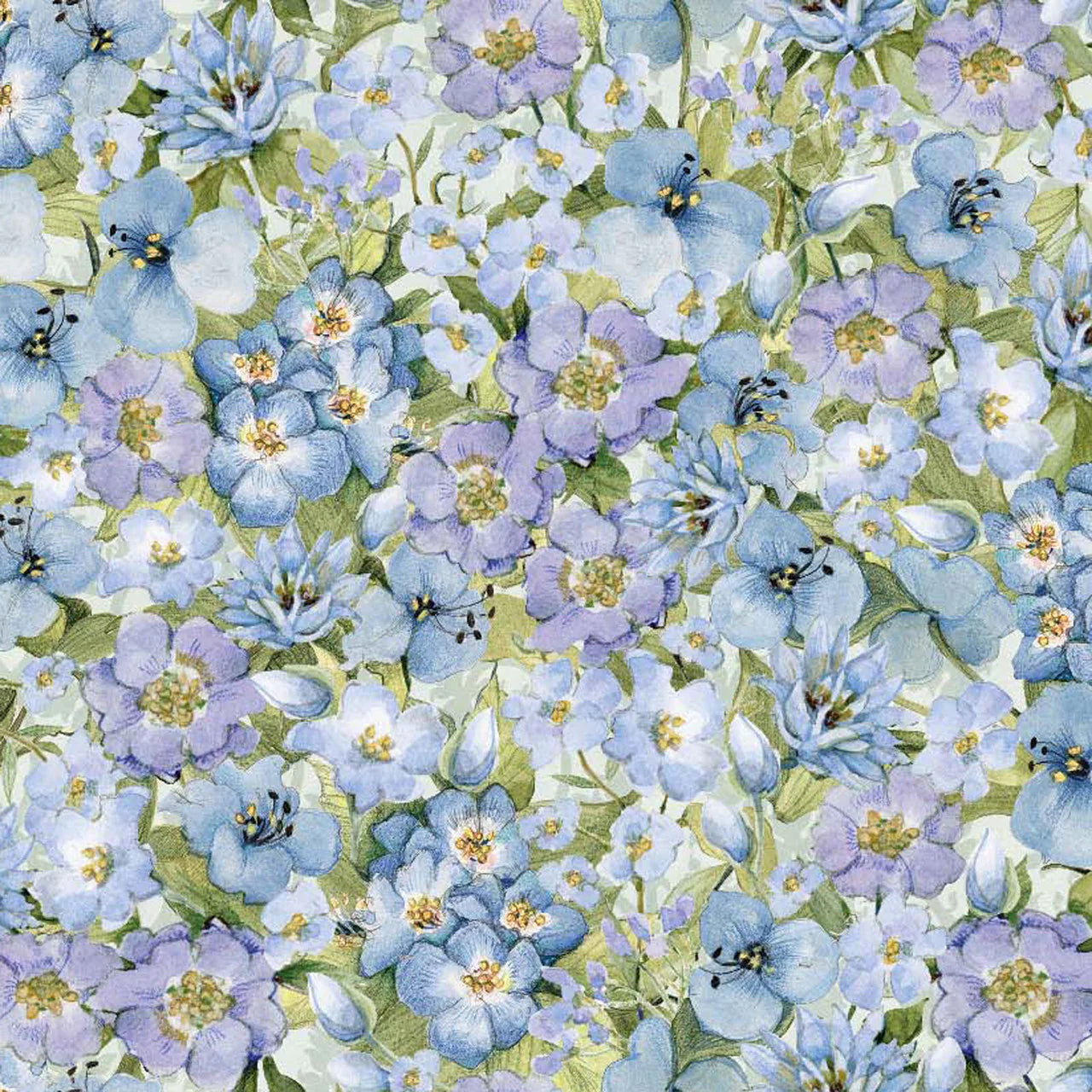 Sweet as Can Be Packed Floral
